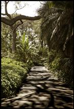 Botanic Garden, Hyde Park: Landscape Details